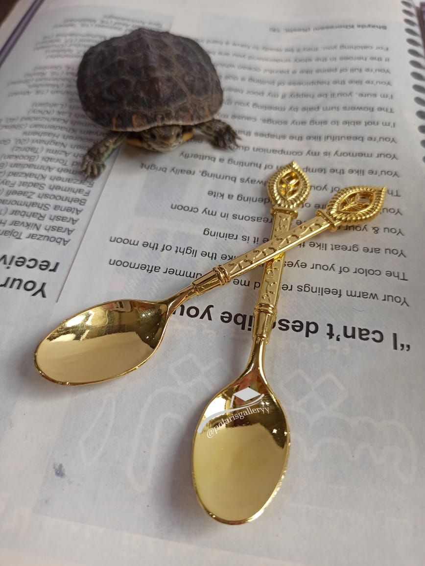 قاشق چای خوری