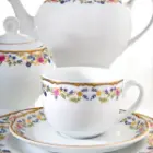 سرویس چینی زرین رویه آرایی ایتالیا اف مدل گلستان