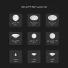 قیمت سرویس چینی زرین شهرزاد طرح سپینود ارغوانی 6 نفره 35 پارچه