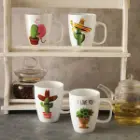 ماگ-سوئدی-جینی-زرین-طرح-های-کاکتوس