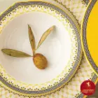 سرویس-28-پارچه-عذا-خوری-رادیانس---چینی-زرین-طرح-ویلیج