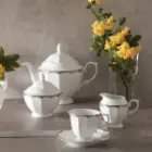 کیفیت-سرویس-چینی-زرین-17-پارچه-چای-خوری-نئوکلاسیک-ایساتیس-پلاتینی