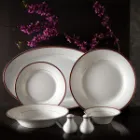 طراحی ارگونومیک سرویس چینی زرین شهرزاد طرح سپینود ارغوانی 6 نفره 35 پارچه