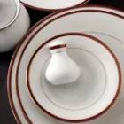 قالب سرویس چینی زرین شهرزاد طرح سپینود ارغوانی 12 نفره 108 پارچه