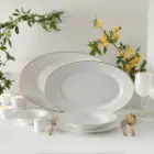 سرویس-چینی-زرین-28-پارچه-سری-رادیانس-غذاخوری-زرین