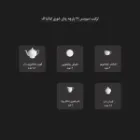 ترکیب اقلام سرویس 17 پارچه چینی زرین