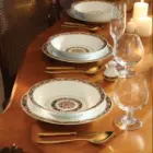 طراحی ارگونومیک سرویس چینی 35 پارچه غذاخوری شهرزاد چینی زرین گلدن گاردن