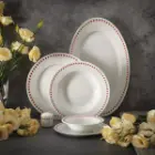 مزایای سرویس چینی زرین رادیانس رز دایموند 6 نفره 28 پارچه