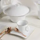 ظروف سرویس غذاخوری زرین لب چینی زرین طلایی