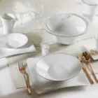 خرید سرویس غذاخوری زرین لب چینی زرین طلایی