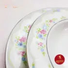 سرویس غذاخوری چینی زرین نئوکلاسیک طرح گلاریس