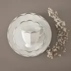 قیمت سرویس-چینی-103-پارچه-نئوکلاسیک-نارسیس-پلاتینی