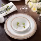 خرید قسطی سرویس ریوا طلایی چینی زرین