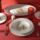 سرویس چینی 102 پارچه کامل رادیانس چینی زرین رزمونت