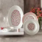 سرویس-28-پارچه-رادیانس-چینی-زرین-طرح-فلورال