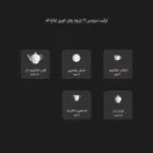 ترکیب اقلام سرویس 17 پارچه چینی زرین