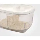 باکس میوه کوچک لیمون
