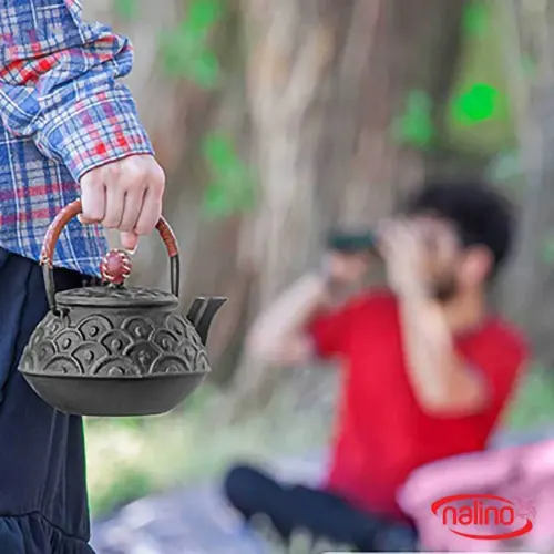 نالینو-کتری-چدنی
