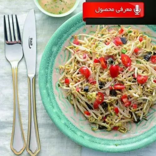 سرویس 57 پارچه قاشق و چنگال ناب استیل ونیز مناسب برای مصارف روزمره