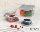 ظرف فریزری 6 پارچه مربع لیمون