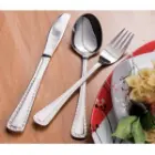 قاشق و چنگال ناب استیل برلین
