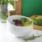 سرویس چینی پیاله آبگوشت ایتالیا اف چینی زرین اسپاتی سبز