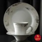 خرید سرویس چینی زرین کلودیا با قیمت مناسب