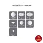 ترکیب ظروف سرویس چینی زرین رادیانس طرح آداجیو رز 6 نفره