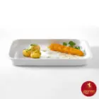دیس سایز 29 هما کلاس چینی زرین