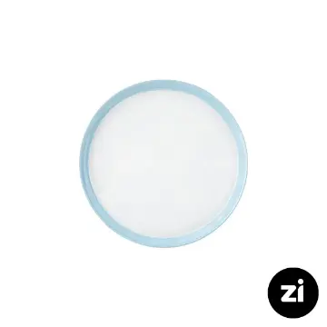 بشقاب تخت چینی زرین فرم اس پاستل آبی سایز 21