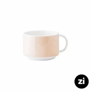 فنجان چایخوری چینی زرین فرم اس پاستل گلبهی سایز 8