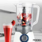 مشخصات خردکن مودکس BL620