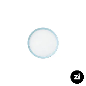 بشقاب تخت چینی زرین (Zi) فرم اس پاستل آبی سایز 12