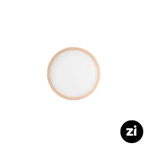 بشقاب تخت چینی زرین (Zi) فرم اس پاستل گلبهی سایز 12