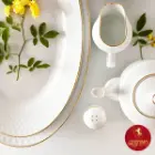 سرویس 12 نفره چینی زرین قالب رادیانس طرح زرین لب طلایی
