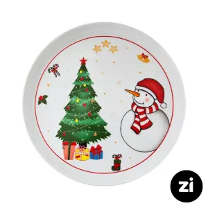 بشقاب تخت چینی زرین (Zi) فرم اس طرح سانتا سایز 24