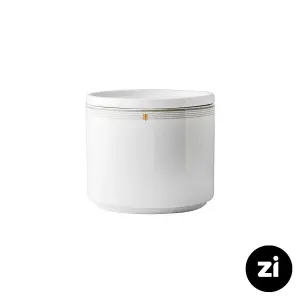 بانکه چینی زرین فرم اس طرح اپرا