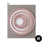 بشقاب تخت چینی زرین Zi فرم اس طرح روشان سایز 30