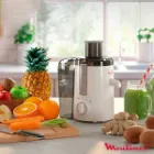 خرید آبمیوه گیری مولینکس یک انتخاب بی نظیر