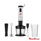 گوشت کوب برقی مولینکس با بهترین کیفیت