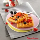 مشخصات ساندویج ساز مولینکس 700 وات مدل SW6125