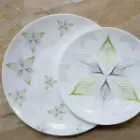 خرید اینترنتی ظروف غذاخوری پارس اپال طرح شاینر