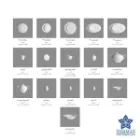 سرویس چینی زرین ایتالیا اف سمن یاسمن 76 پارچه