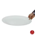 دیس چینی زرین رادیانس سفید سایز 42