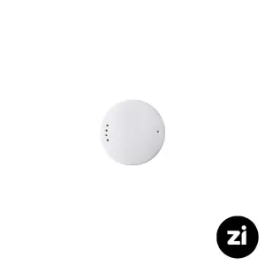 نمک پاش چینی زرین فرم اس طرح پروجا