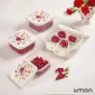 ست ظرف غذا لیمون مربع چاپدار 2231