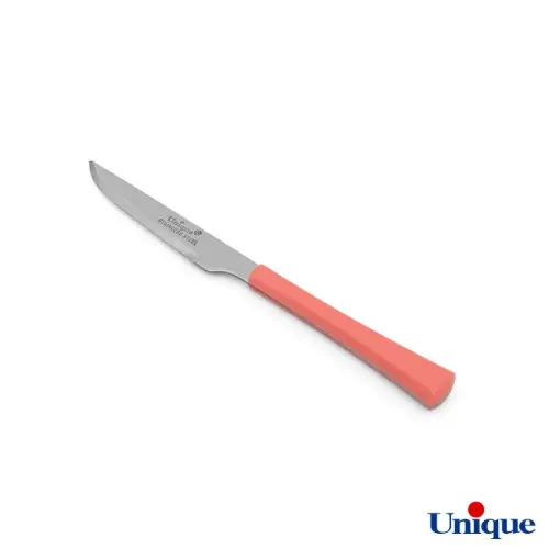 کارد میوه خوری یونیک 12 پارچه مدل UN-5853A