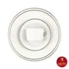 خرید سرویس چینی زرین رادیانس زرین رزگلد 12 نفره 102 پارچه