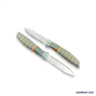 اقو میوه خوری رینبو استار دسته دار 2 عددی 112f-067