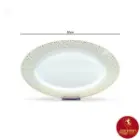 دیس چینی زرین شهرزاد طرح سان رایز سایز 38